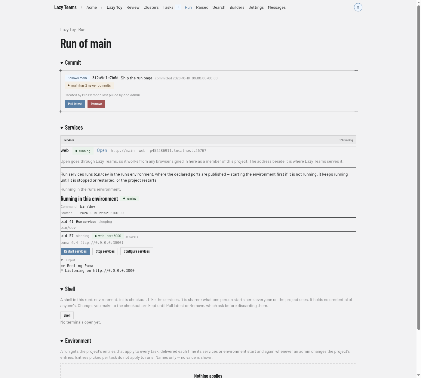 A run's page with its commit, a running service with its Open link, the shell launcher and the environment